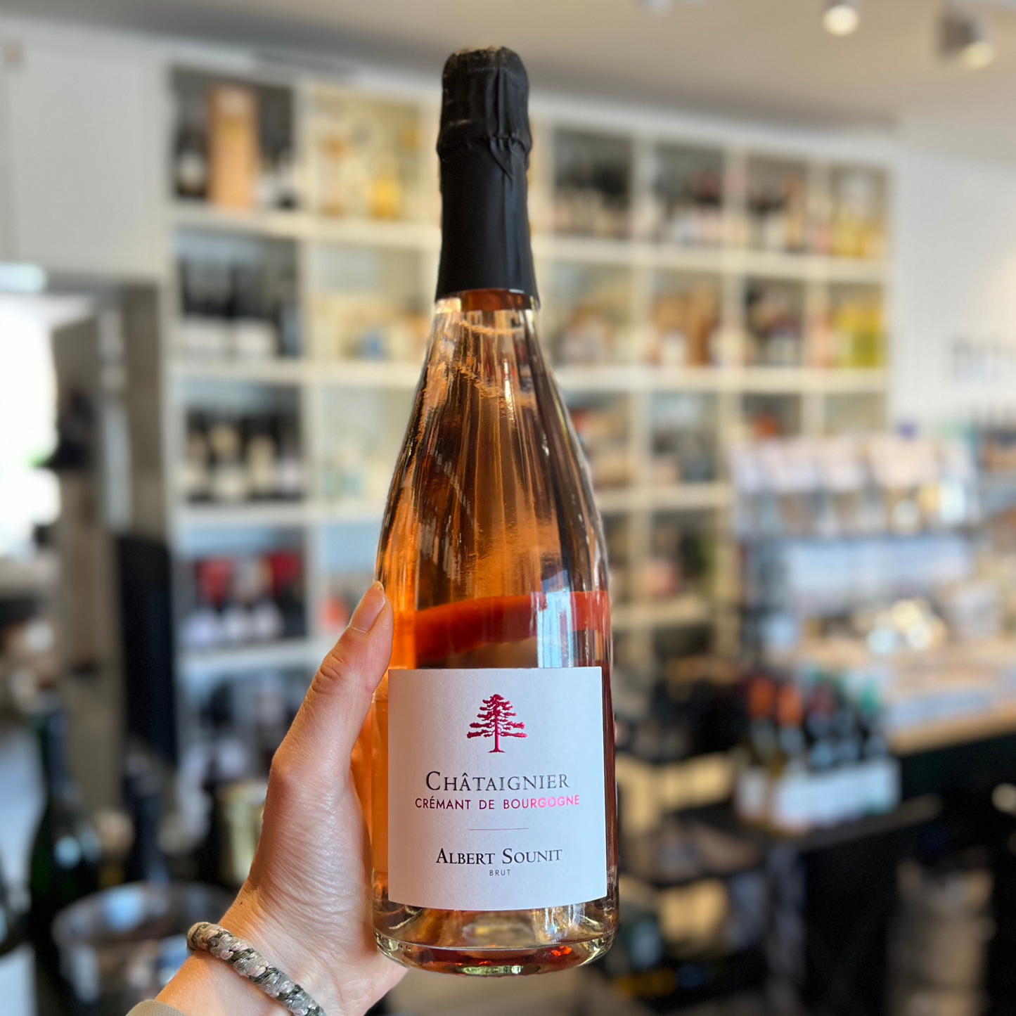 Albert Sounit Cremant Rosé