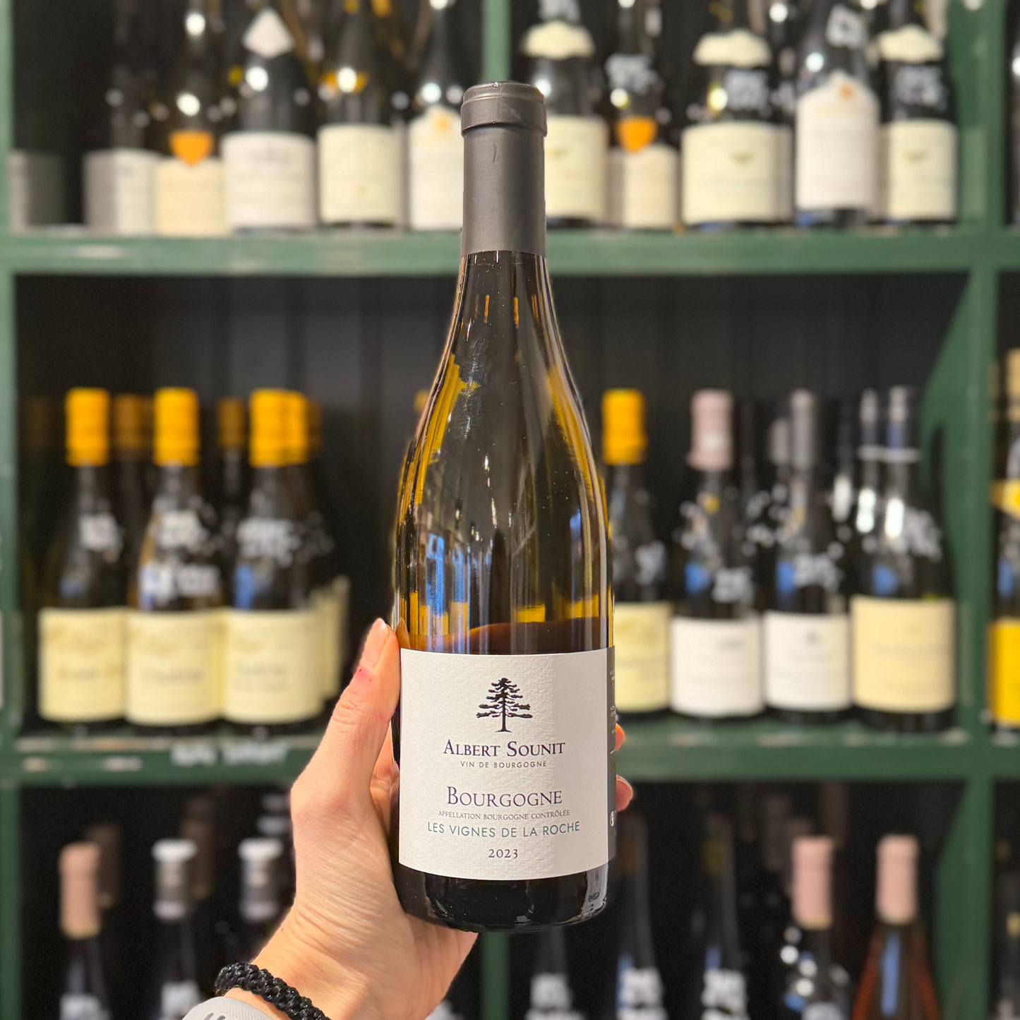 2023 Albert Sounit, Bourgogne Les Vignes de la Roche Blanc