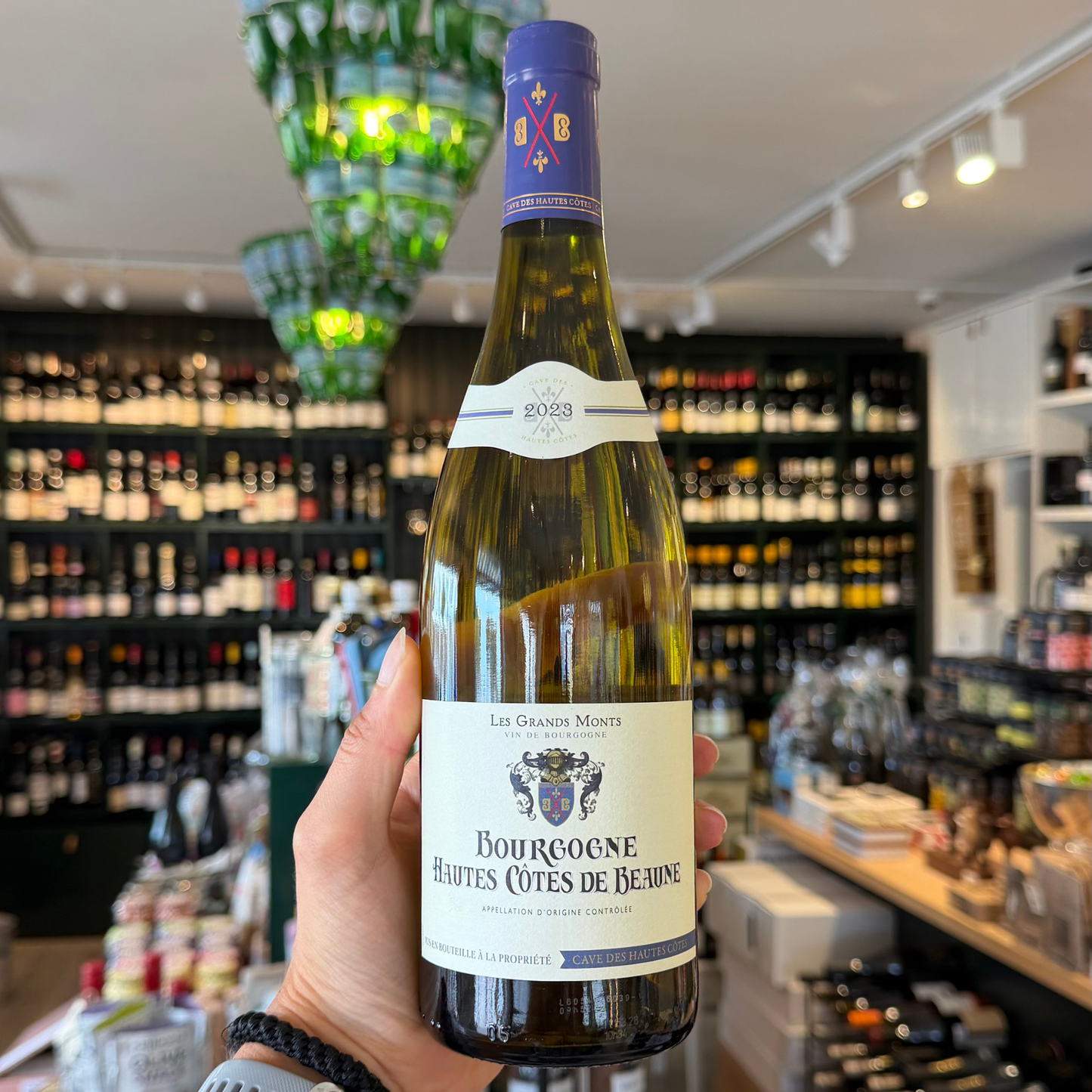 2023 Bourgogne Blanc, Hautes Cotes de Beaune